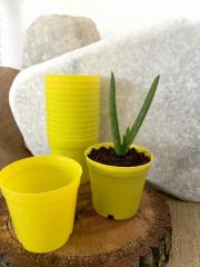 Sarı Renk Kaktüs Üretim Saksısı 25 Adet 5,5x5 CM Renkli Küçük Saksı