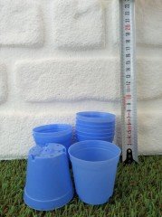 Mavi Renk Kaktüs Üretim Saksısı 20 Adet 5,5x5 CM Renkli Küçük Saksı