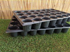 28 Gözlü Fide Viyolü  Adet Seçiniz Fidan Viyolü