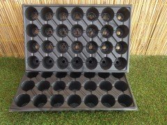 28 Gözlü Fide Viyolü  Adet Seçiniz Fidan Viyolü