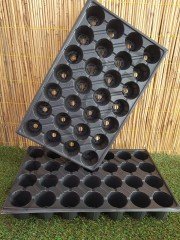 28 Gözlü Fide Viyolü  Adet Seçiniz Fidan Viyolü