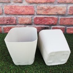 Renkli Saksı 1,8 LT 2 Adet Krem Renk Safir Model Kare Saksı Tabaklı Saksı