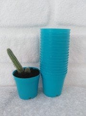 Turkuaz Renk Kaktüs Üretim Saksısı 100 Adet 5,5x5 CM Renkli Küçük Saksı