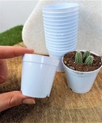 Beyaz Renk Kaktüs Üretim Saksısı 20 Adet 5,5x5 CM Renkli Küçük Saksı