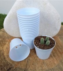 Beyaz Renk Kaktüs Üretim Saksısı 25 Adet 5,5x5 CM Renkli Küçük Saksı