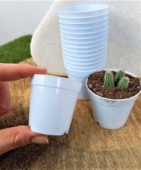 Beyaz Renk Kaktüs Üretim Saksısı 25 Adet 5,5x5 CM Renkli Küçük Saksı