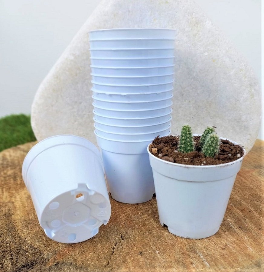 Beyaz Renk Kaktüs Üretim Saksısı 25 Adet 5,5x5 CM Renkli Küçük Saksı