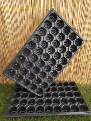 Fide Viyolü 45 Gözlü 5 Adet Fidan Viyolü Tohum Çimlendirme Kabı