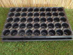 Fide Viyolü 45 Gözlü 100 Adet Fidan Viyolü Tohum Çimlendirme Kabı