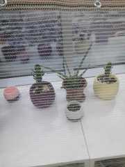 Kedi Filesi 1x20  Metre Montaja Hazır Misina Balkon Filesi