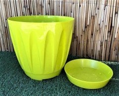 Renkli Saksı 12 LT 3 Adet Fıstık Yeşili Renk Papatya Model Plastik Tabaklı Çiçek Saksısı