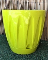 Renkli Saksı 12 LT 3 Adet Fıstık Yeşili Renk Papatya Model Plastik Tabaklı Çiçek Saksısı