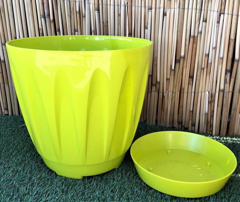 Renkli Saksı 12 LT 3 Adet Fıstık Yeşili Renk Papatya Model Plastik Tabaklı Çiçek Saksısı