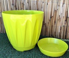 Renkli Saksı 12 LT 3 Adet Fıstık Yeşili Renk Papatya Model Plastik Tabaklı Çiçek Saksısı