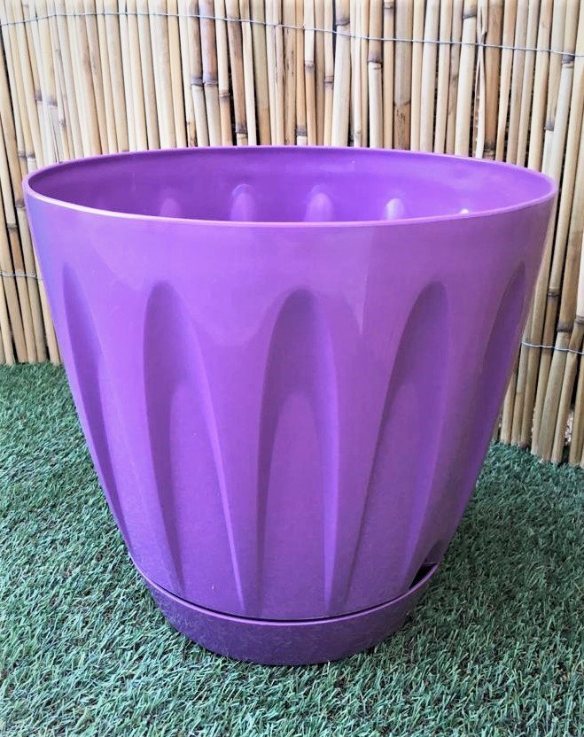Renkli Saksı 22 LT 1 Adet Mor Renk Papatya Model Plastik Tabaklı Çiçek Saksısı