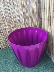 Renkli Saksı 22 LT 1 Adet Vişne Renk Papatya Model Plastik Tabaklı Çiçek Saksısı