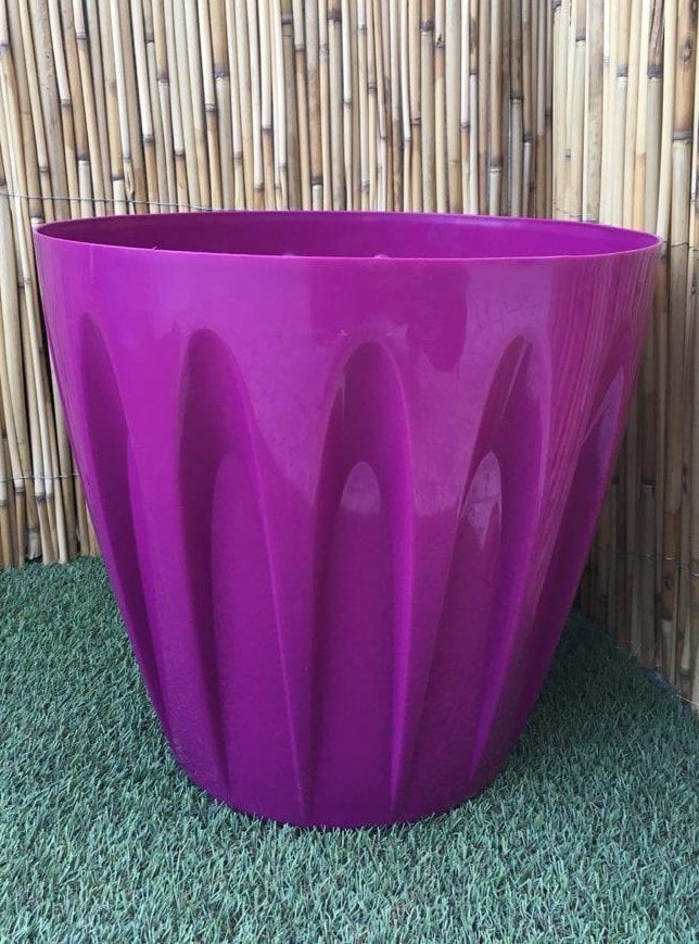 Renkli Saksı 22 LT 1 Adet Vişne Renk Papatya Model Plastik Tabaklı Çiçek Saksısı