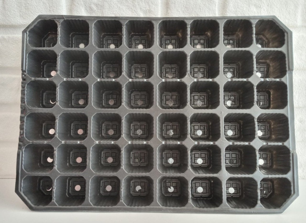 Fide Viyolü 48 Gözlü 20 Adet Fidan Viyolü Tohum Çimlendirme Kabı