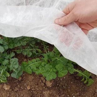 Ağaç Koruma Torbası 1 ADET 0,60X1,20 Metre Bitki Koruma Torbası