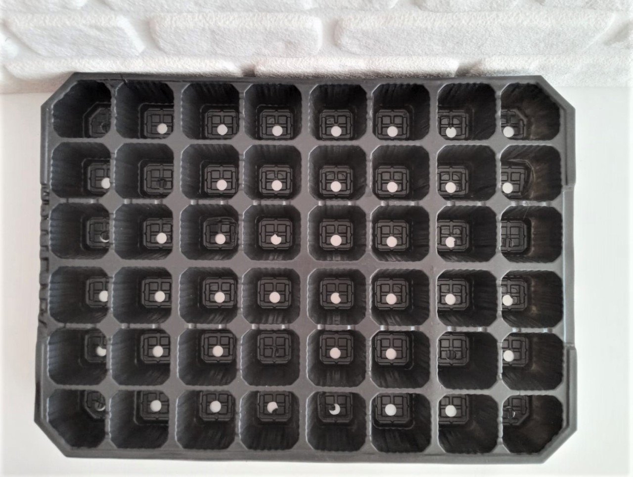 Fide Viyolü 48 Gözlü 50 Adet Fidan Viyolü Tohum Çimlendirme Kabı