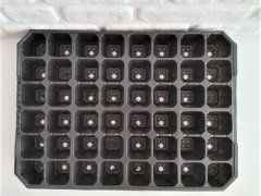 Fide Viyolü 48 Gözlü 100 Adet Fidan Viyolü Tohum Çimlendirme Kabı