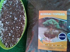 Bonsai Toprağı 3 Lt Özel Karışım Bonsai Toprağı