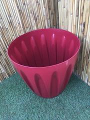 Renkli Saksı 22 LT 2 Adet Kırmızı Renk Papatya Model Plastik Tabaklı Çiçek Saksısı