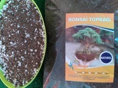 Bonsai Toprağı 5 Lt Özel Karışım Bonsai Toprağı