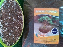 Bonsai Toprağı 20 Lt Özel Karışım Bonsai Toprağı