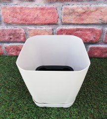 Renkli Saksı 3,4 LT 1 Adet Krem Renk Safir Model Kare Saksı Tabaklı Saksı