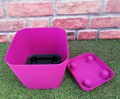 Renkli Saksı 5,6 Lt 3 Adet Vişne Renk Safir Saksı Kare Saksı Tabaklı Saksı