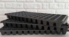 Fide Viyolü 72 Gözlü 20 Adet Fidan Viyolü Tohum Çimlendirme Kabı