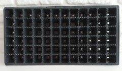 Fide Viyolü 72 Gözlü 25 Adet Fidan Viyolü Tohum Çimlendirme Kabı