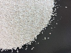 Bermuda Çim Tohumu 5 KG Uganda Çimi Köpek Dişi Ayrığı Tohumu