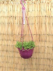 Renkli Askılı Saksı  1,7 LT 3 Adet Vişne Renk Safir Makrome Model Tabaklı Saksı