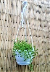 Renkli Askılı Saksı  1,7 LT 1 Adet Beyaz Renk Safir Makrome Model Tabaklı Saksı