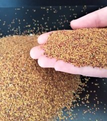 Ak Üçgül Tohumu 1 KG Trifolium Repens Süs Yoncası Bodur Yonca Tohumu
