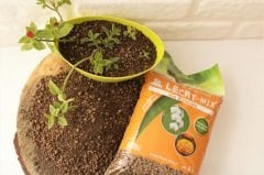 Kil Bilyesi 2 Lt (0-3 Mm)  3 Adet Süs Bitkileri İçin Çiçekli Bitkilere Özel