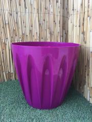 Renkli Saksı 46 LT 1 Adet Vişne Renk Papatya Model Plastik Tabaklı Çiçek Saksısı