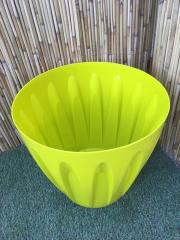 Renkli Saksı 46 LT 1 Adet Fıstık Yeşili  Renk Papatya Model Plastik Tabaklı Çiçek Saksısı