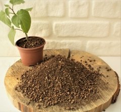 Kil Bilyesi 2 Lt (0-3 Mm) 3 Adet Saksıda Tarım Için Sebze Kil Bilyesi