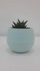 Renkli Kaktüs Saksısı  1 Adet 0,13 Lt Elvan Saksı Model Açık Mavi Renk Plastik Saksı