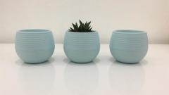 Renkli Kaktüs Saksısı  1 Adet 0,13 Lt Elvan Saksı Model Açık Mavi Renk Plastik Saksı