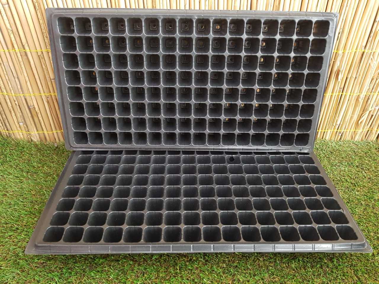 Fide Viyolü 128 Gözlü 50 Adet Fidan Viyolü Tohum Çimlendirme Kabı