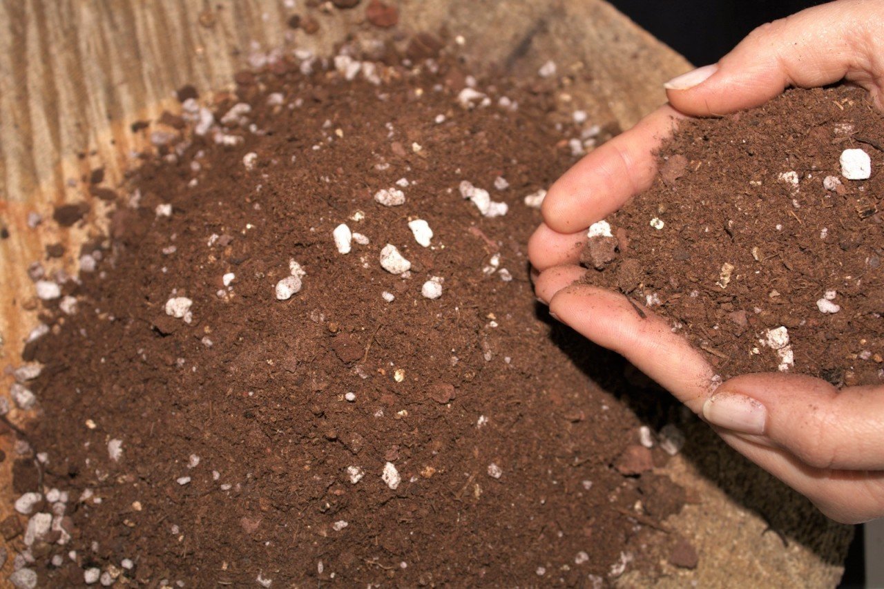 Akıllı Toprak 40  lt Torf Perlit Vermikülit Kum