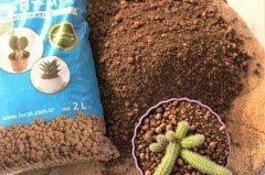 Kil Bilyesi 2 Lt (0-3 Mm) 1 Adet Kaktüs Sukulent Orkide Kil Bilyesi