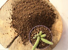 Kil Bilyesi 2 Lt (0-3 Mm) 1 Adet Kaktüs Sukulent Orkide Kil Bilyesi