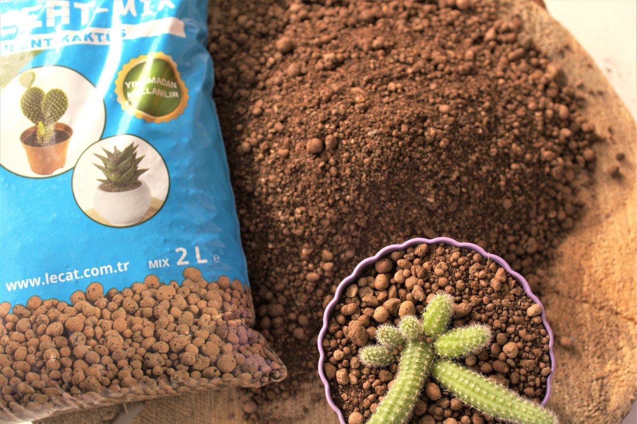 Kil Bilyesi 2 Lt (0-3 Mm) 2 Adet Kaktüs Sukulent Orkide Kil Bilyesi