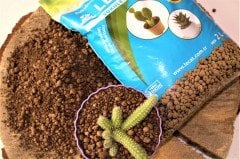 Kil Bilyesi 2 Lt (0-3 Mm) 3 Adet Kaktüs Sukulent Orkide Kil Bilyesi