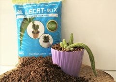 Kil Bilyesi 2 Lt (0-3 Mm) 3 Adet Kaktüs Sukulent Orkide Kil Bilyesi